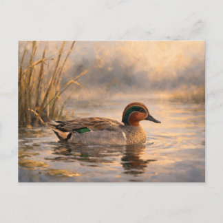 Postale Canard de marais | Art de la faune côtière | Carte