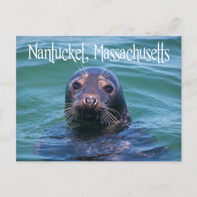 Postale Cape Cod, Nantucket, Massachusetts Seal Carte post (Devant)