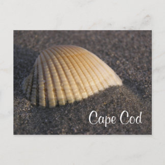 Postale Cape Cod Seashell sur la carte de poste de plage
