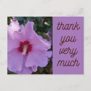 Postale Carte à fleurs Hibiscus rose Merci