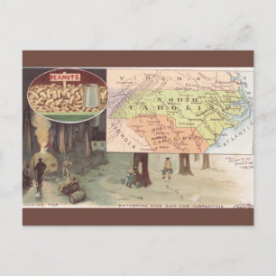 Postale Carte ancienne de Caroline du Nord