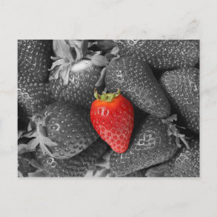 Postale Carte aux fraises rouges
