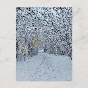Postale Carte blanche du parc des neiges Winter Wonderland