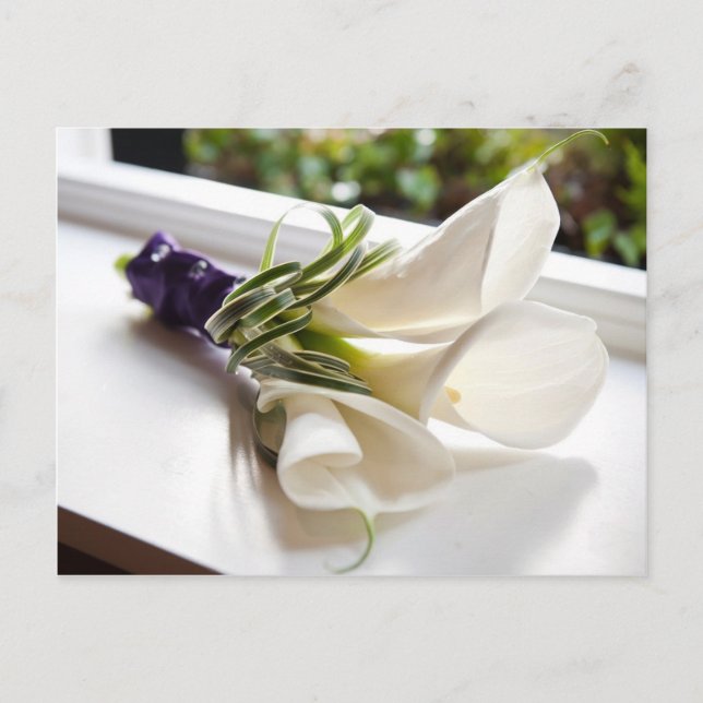 Postale Carte Calla Lily (Devant)