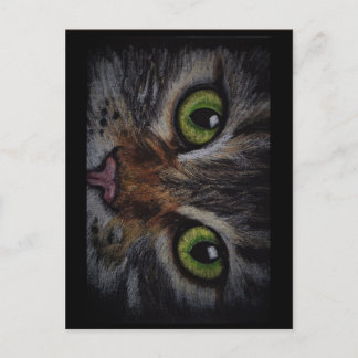 Postale Carte chat