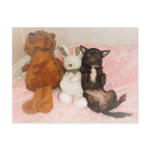 carte chihuahua marron nounours peluches humour