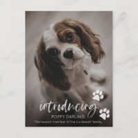 Carte d'adoption Chien ou Chien, nouveau faire-par