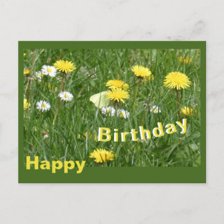 Postale Carte d'anniversaire de champ d'herbe avec pissenl