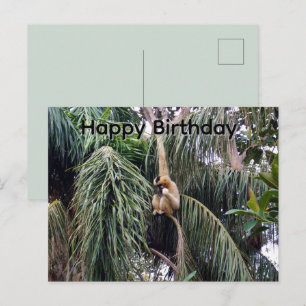 Postale Carte d'anniversaire de gibbon qui se balance