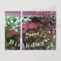 Carte d'anniversaire Hydrangea sous Parasol