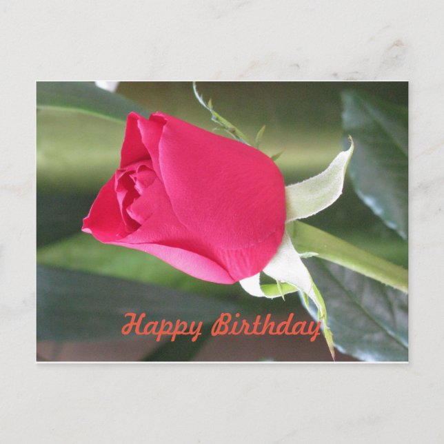 Postale Carte d'anniversaire joyeux (Devant)