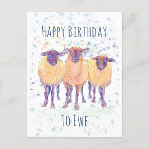 Postale Carte de bonne anniversaire à brebis