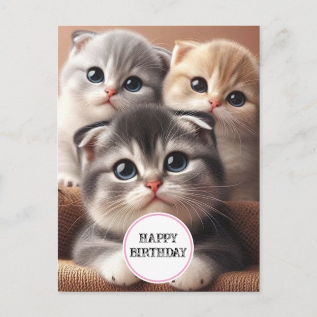 Postale Carte de bonne fête pour trois chatons (Devant)