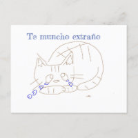 carte de chat déchiré