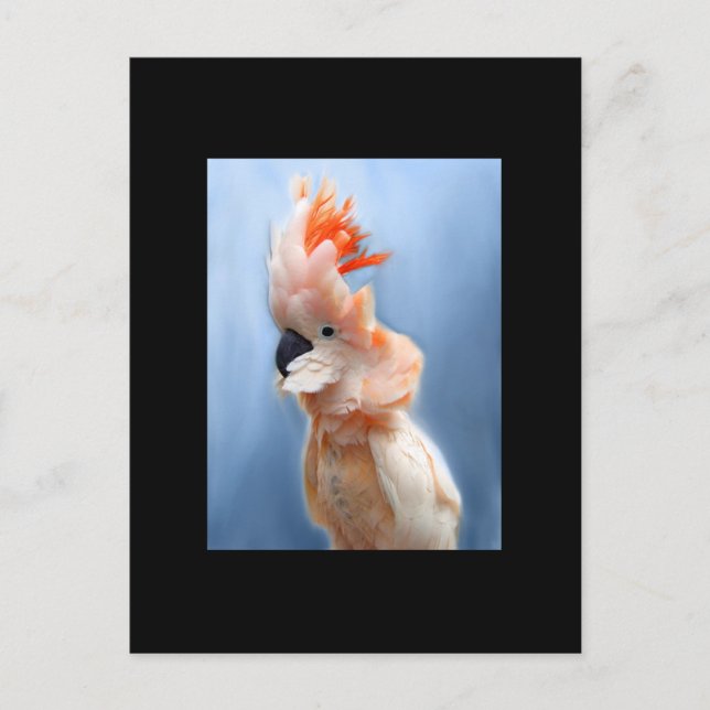 Postale Carte de commerce saumon Crested Cockatoo ACEO (Devant)