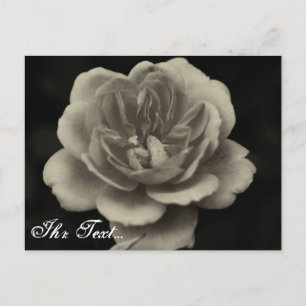 Postale carte de condoléances