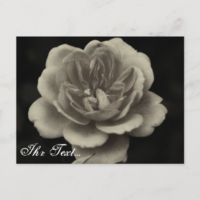 Postale carte de condoléances (Devant)