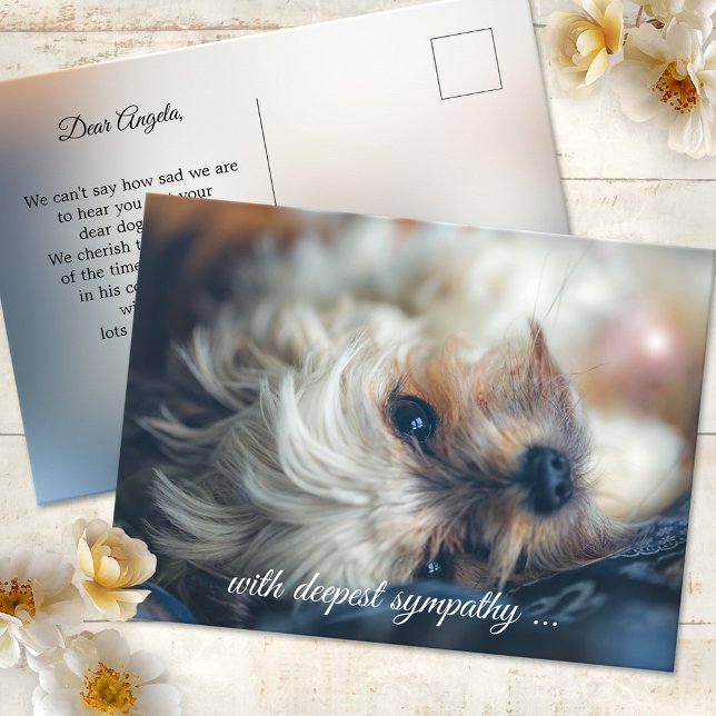 Postale Carte de condoléances Chien (Postcard featuring an image of a dog in a dreamy light. Use a custom photo for sympathy greetings)