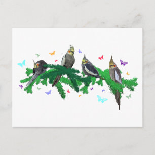 Postale Carte de fête de cockatiel