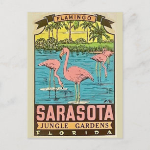 Postale Carte de Flamant rose vintage Sarasota