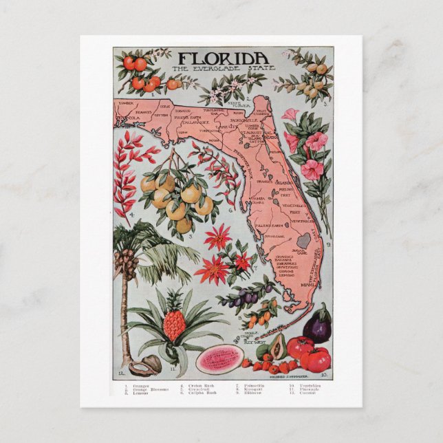 Postale Carte de Floride vintage (Devant)