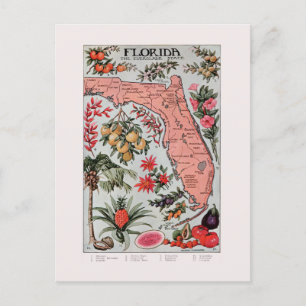 Postale Carte de Floride vintage