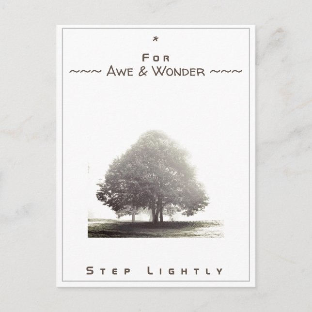 Postale Carte de jonction n° 43 : Pour Awe & Wonder Step l (Devant)