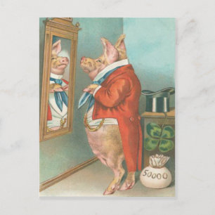 Postale Carte de jour St Patrick pour le Shamrock de porc 