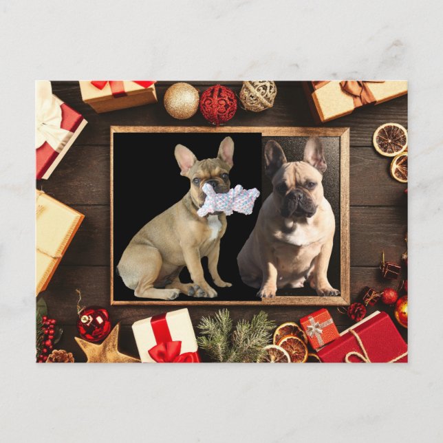 Postale Carte de Noël bulldogs français Noël (Devant)