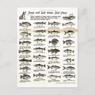 Postale Carte de pêche pour hommes Vintages rétros -