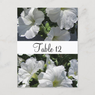 Postale Carte de placement de table aux pétunias blancs