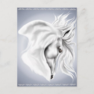Postale Carte de poste de cheval blanc