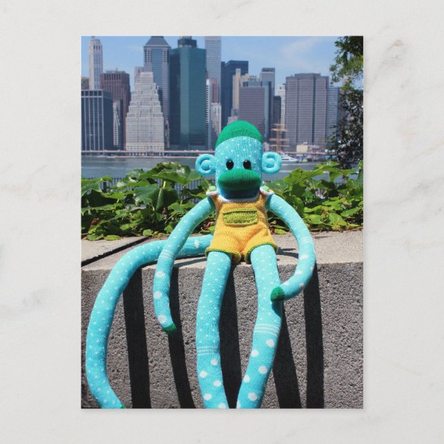 Postale Carte de poste de singe Mars Sock - Stuart (Devant)