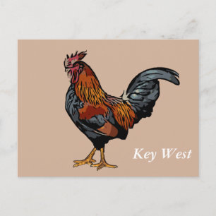 Postale Carte de poste West Brown Roster Key