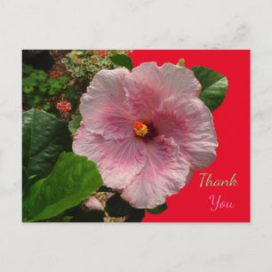 Postale Carte de remerciement à l'hibiscus rose