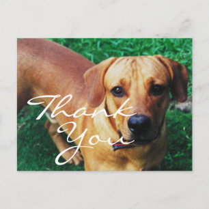 Postale Carte de remerciement avec photo personnalisée