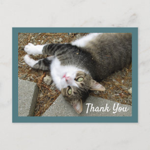 Postale Carte de remerciement Chat tigré aux yeux rêveurs
