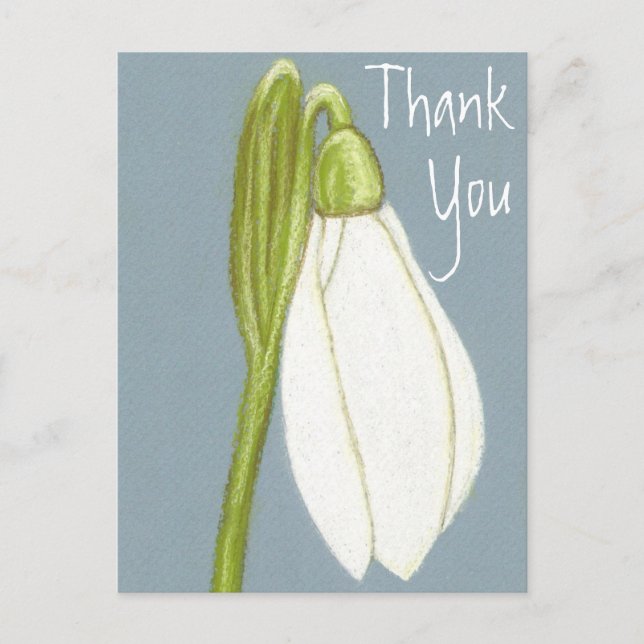 Postale Carte de remerciement Fleur de perce-neige (Devant)