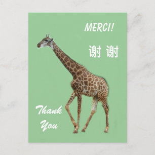 Postale Carte de remerciements anglais/français/chinois