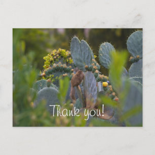 Postale Carte de remerciements écureuil