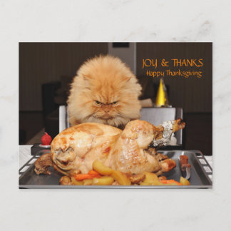 Postale Carte de Thanksgiving drôle de chat