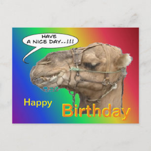 Postale Carte de vœux Chameau Mignon Arc-en-Ciel Joyeux An