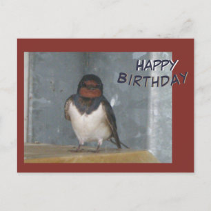 Postale Carte de vœux d'anniversaire avec une Hirondelle d
