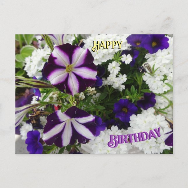 Postale Carte de vœux d'anniversaire Fleurs Bleues Blanche (Devant)