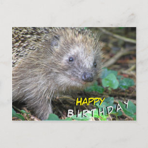 Postale Carte de vœux d'anniversaire Hérisson Mignon