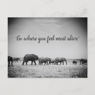 Postale Carte de voeux des générations d'éléphants