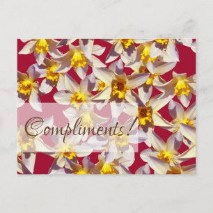 Postale Carte de vœux personnalisée aux jonquilles florale