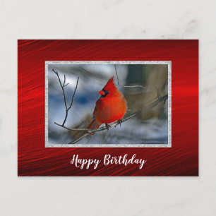 Postale Carte de vœux photo d'hiver rouge cardinal