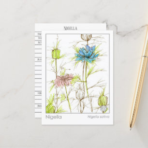 Postale Carte d'étude Herbe Médicale Nigella Fleur sauvage