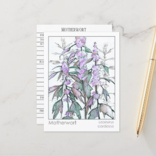 Postale Carte d'étude sur les plantes médicinales Materia 